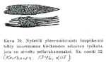 Nyörillä yhteensidotuista luupiikeistä tehty nuoremman kivikauden aikainen työkalu, jota on arveltu pellavakammaksi