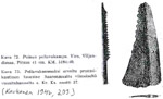 Virolainen puinen pellavakampa ja pronssikautinen, pellavakammaksi arveltu luuesine
